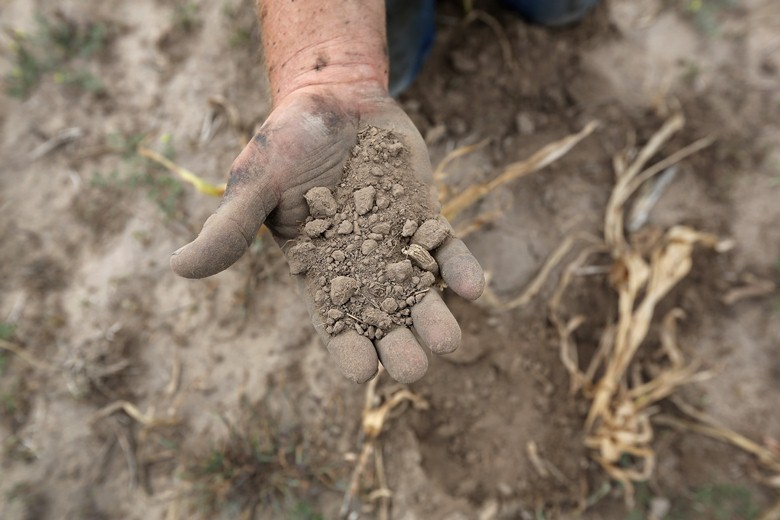Hand holding dry soil