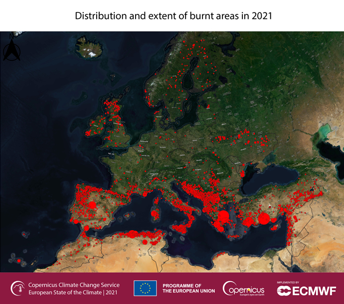 Distribution and extent of burnt areas in 2021