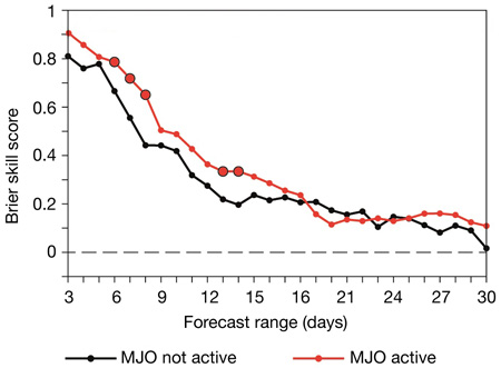Influence of active MJO on sub-seasonal forecast skill