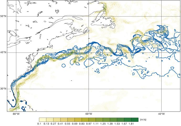 Errors in Gulf Stream position of ECMWF analysis